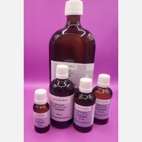 terisk KOLOGISK olie. Lavendel