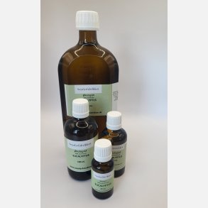 terisk KOLOGISK olie. Eucalyptus oile