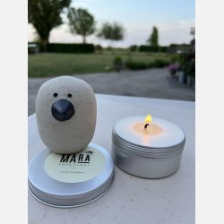 Soyalys med citronella