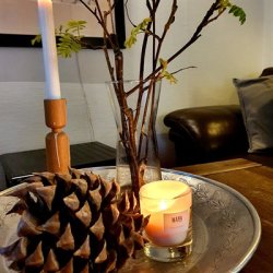 Soyalys, 40 brndetimer. 100 % soya